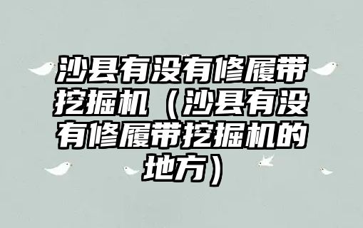 沙縣有沒有修履帶挖掘機(jī)（沙縣有沒有修履帶挖掘機(jī)的地方）