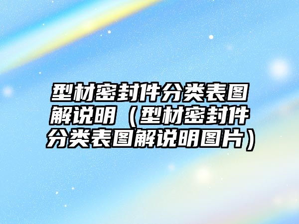 型材密封件分類表圖解說明（型材密封件分類表圖解說明圖片）