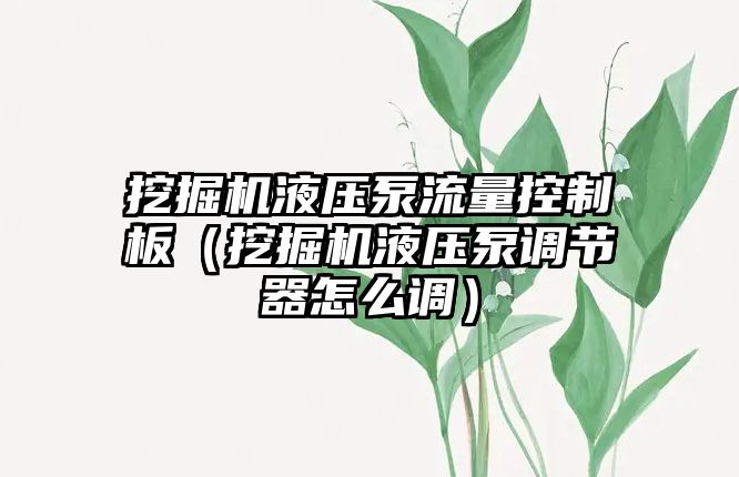 挖掘機液壓泵流量控制板（挖掘機液壓泵調(diào)節(jié)器怎么調(diào)）