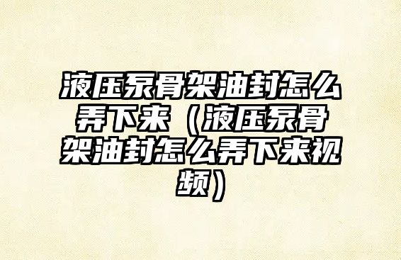 液壓泵骨架油封怎么弄下來(lái)（液壓泵骨架油封怎么弄下來(lái)視頻）