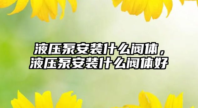 液壓泵安裝什么閥體，液壓泵安裝什么閥體好