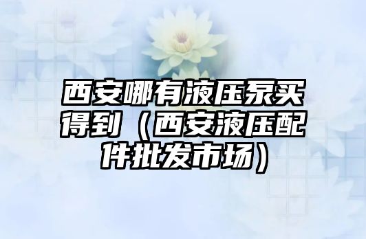 西安哪有液壓泵買得到（西安液壓配件批發(fā)市場）