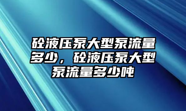 砼液壓泵大型泵流量多少，砼液壓泵大型泵流量多少噸