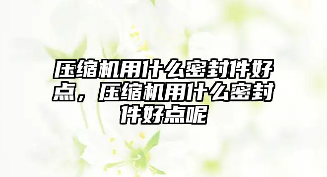 壓縮機用什么密封件好點，壓縮機用什么密封件好點呢