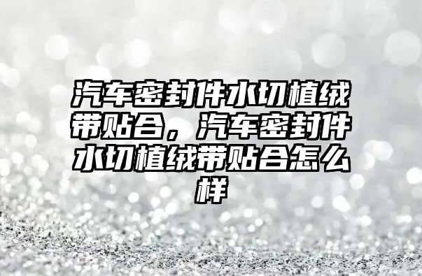 汽車密封件水切植絨帶貼合，汽車密封件水切植絨帶貼合怎么樣