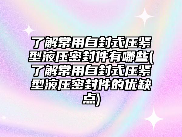 了解常用自封式壓緊型液壓密封件有哪些(了解常用自封式壓緊型液壓密封件的優(yōu)缺點(diǎn))