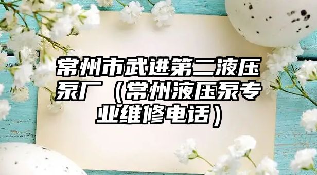 常州市武進第二液壓泵廠（常州液壓泵專業(yè)維修電話）