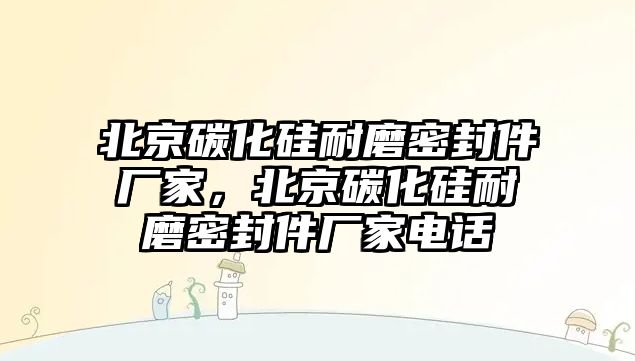 北京碳化硅耐磨密封件廠家，北京碳化硅耐磨密封件廠家電話