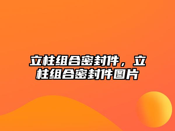 立柱組合密封件，立柱組合密封件圖片