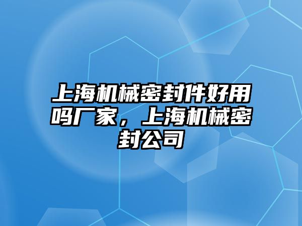 上海機械密封件好用嗎廠家，上海機械密封公司