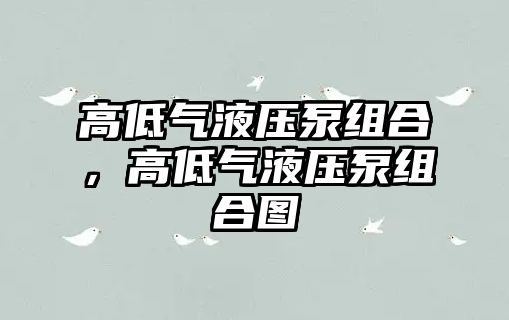 高低氣液壓泵組合，高低氣液壓泵組合圖