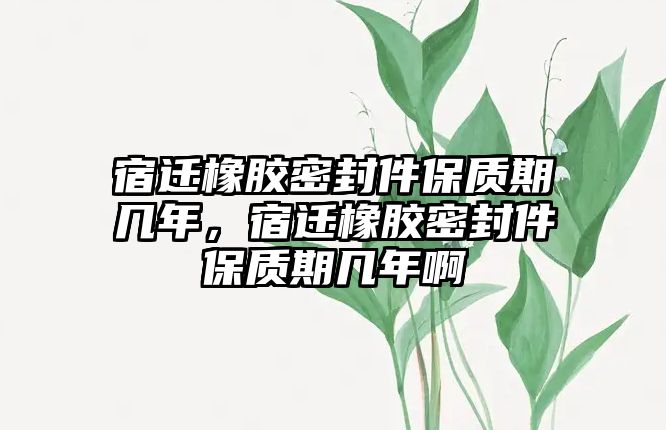 宿遷橡膠密封件保質期幾年，宿遷橡膠密封件保質期幾年啊