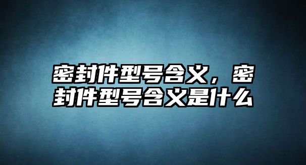 密封件型號含義，密封件型號含義是什么