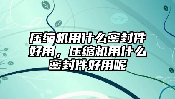 壓縮機(jī)用什么密封件好用，壓縮機(jī)用什么密封件好用呢