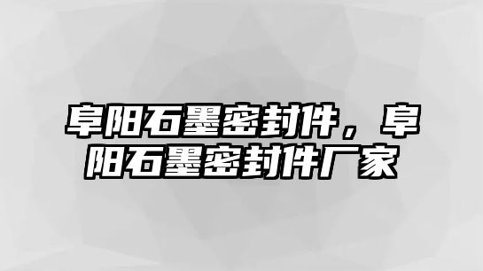 阜陽石墨密封件，阜陽石墨密封件廠家