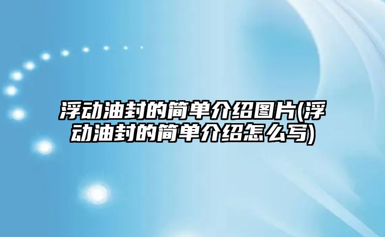 浮動油封的簡單介紹圖片(浮動油封的簡單介紹怎么寫)