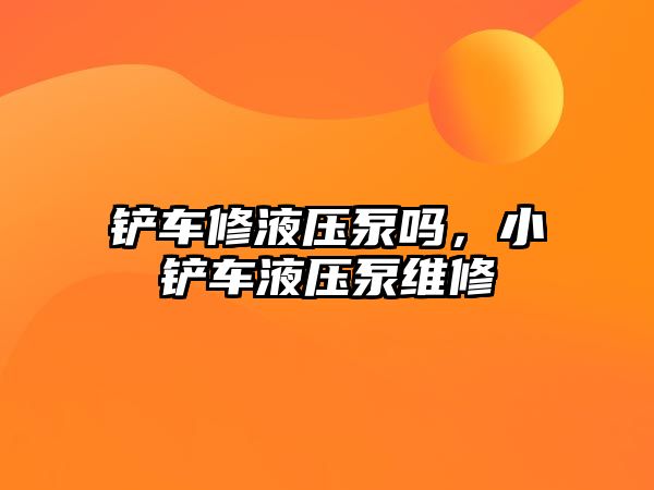 鏟車修液壓泵嗎，小鏟車液壓泵維修