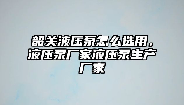 韶關液壓泵怎么選用，液壓泵廠家液壓泵生產(chǎn)廠家