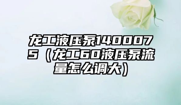 龍工液壓泵1400075（龍工60液壓泵流量怎么調(diào)大）