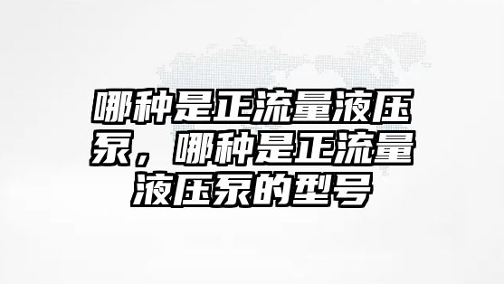 哪種是正流量液壓泵，哪種是正流量液壓泵的型號