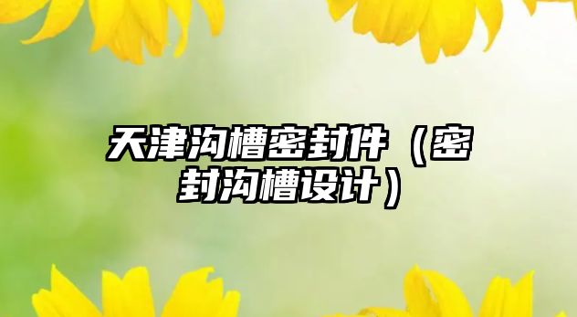 天津溝槽密封件（密封溝槽設(shè)計）