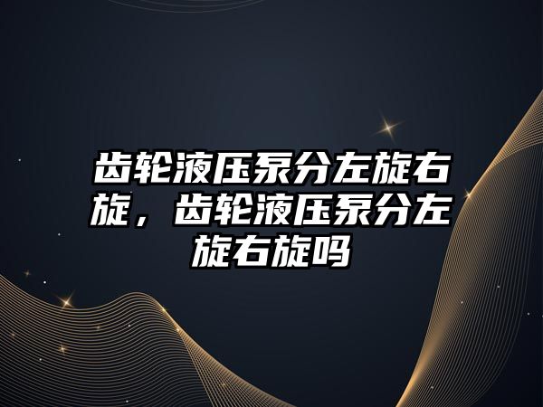 齒輪液壓泵分左旋右旋，齒輪液壓泵分左旋右旋嗎