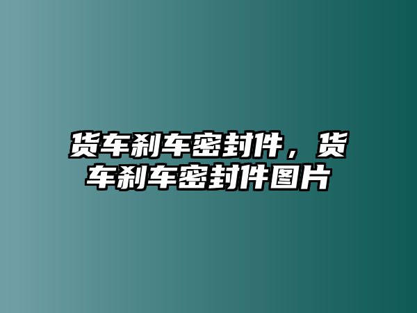 貨車剎車密封件，貨車剎車密封件圖片