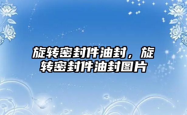 旋轉密封件油封，旋轉密封件油封圖片