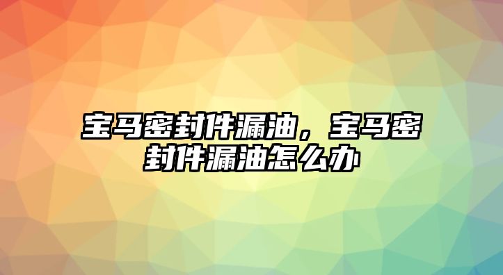 寶馬密封件漏油，寶馬密封件漏油怎么辦