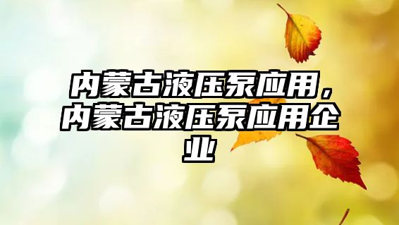 內蒙古液壓泵應用，內蒙古液壓泵應用企業(yè)