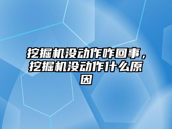 挖掘機沒動作咋回事，挖掘機沒動作什么原因