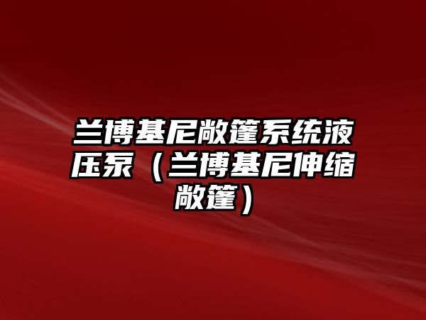 蘭博基尼敞篷系統(tǒng)液壓泵（蘭博基尼伸縮敞篷）