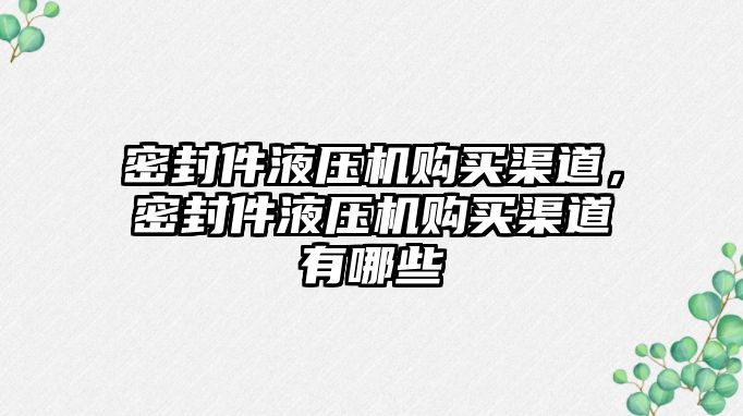 密封件液壓機購買渠道，密封件液壓機購買渠道有哪些