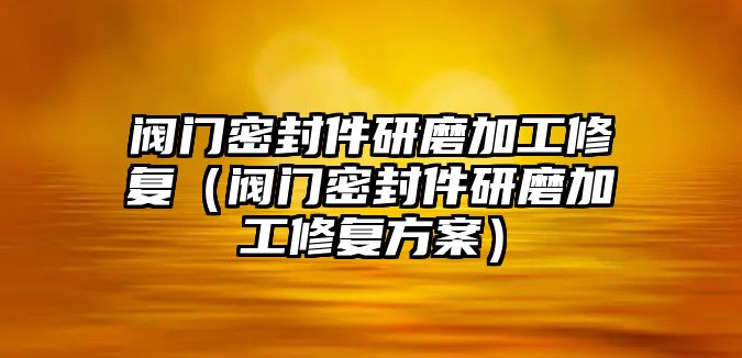 閥門密封件研磨加工修復(fù)（閥門密封件研磨加工修復(fù)方案）