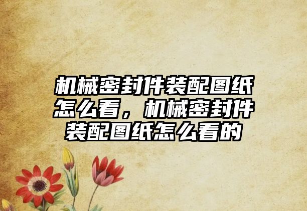 機械密封件裝配圖紙怎么看，機械密封件裝配圖紙怎么看的