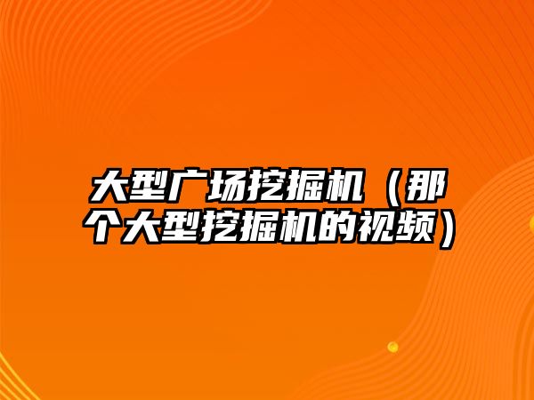 大型廣場挖掘機（那個大型挖掘機的視頻）