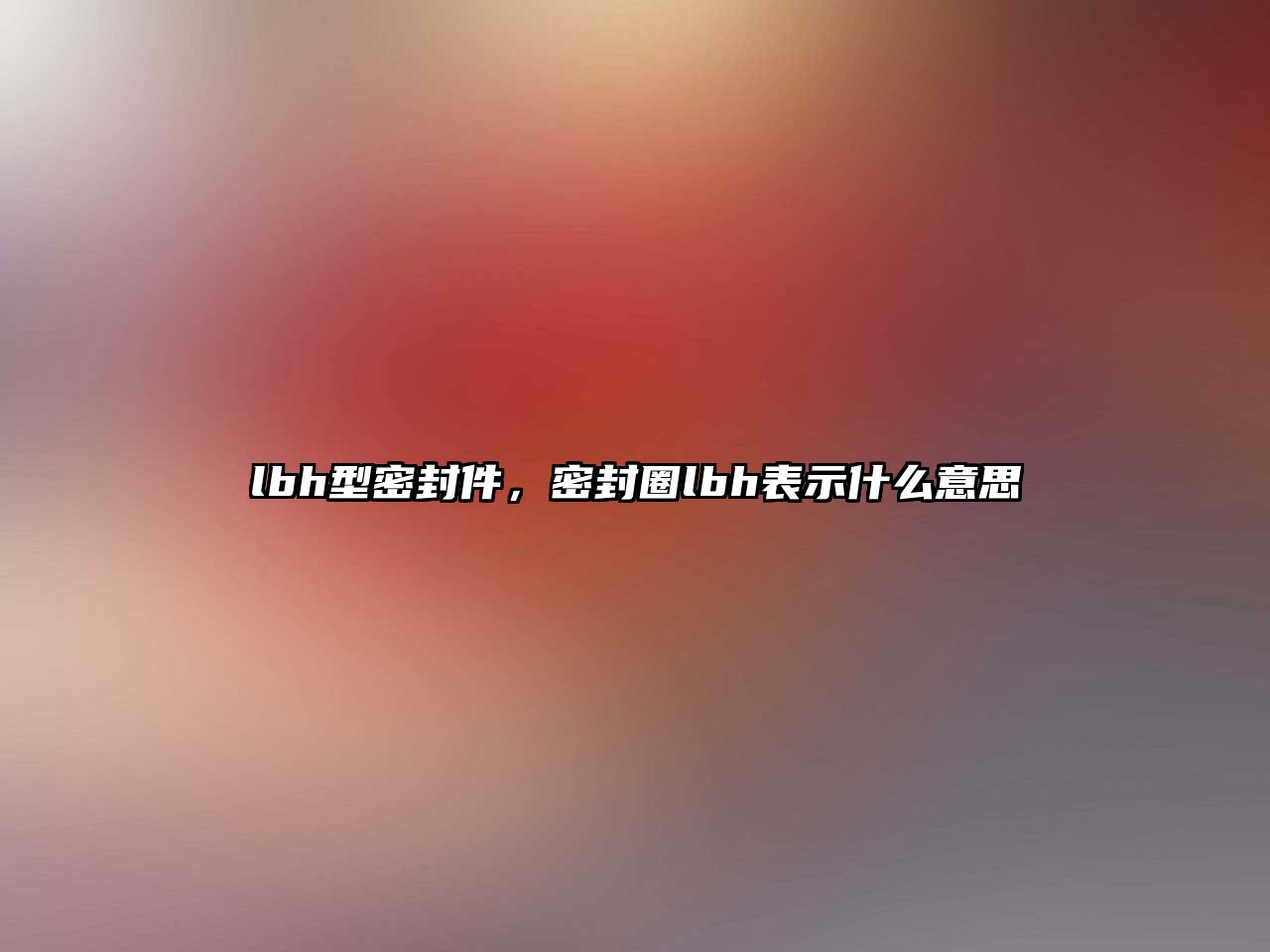 lbh型密封件，密封圈lbh表示什么意思