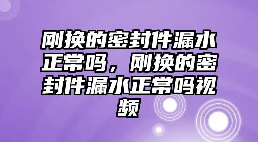 剛換的密封件漏水正常嗎，剛換的密封件漏水正常嗎視頻