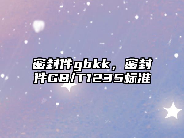 密封件gbkk，密封件GB/T1235標(biāo)準(zhǔn)