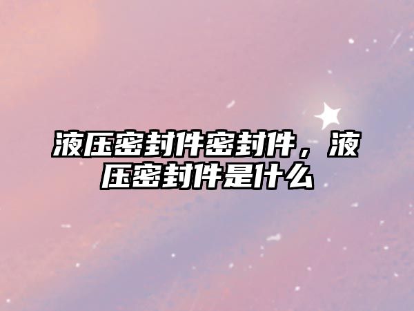 液壓密封件密封件，液壓密封件是什么