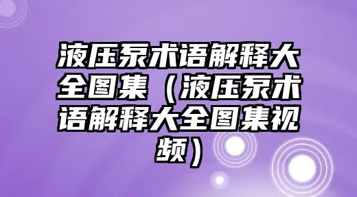 液壓泵術(shù)語解釋大全圖集（液壓泵術(shù)語解釋大全圖集視頻）