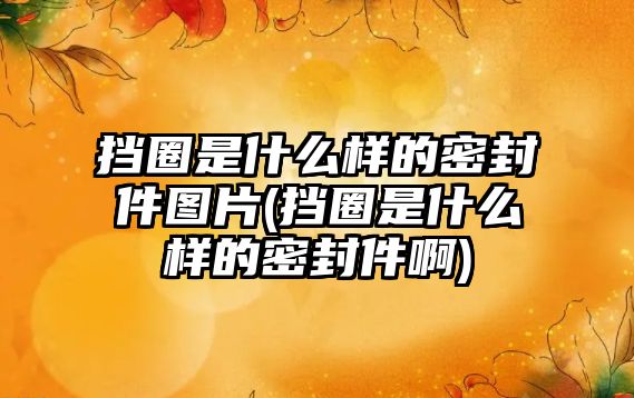 擋圈是什么樣的密封件圖片(擋圈是什么樣的密封件啊)