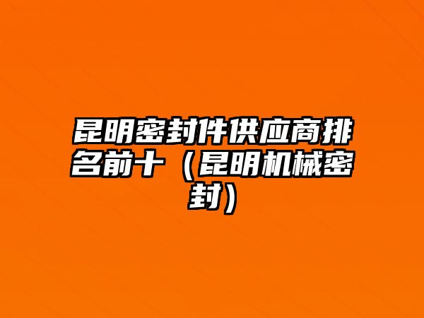 昆明密封件供應商排名前十（昆明機械密封）