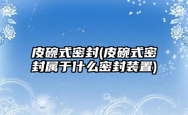 皮碗式密封(皮碗式密封屬于什么密封裝置)