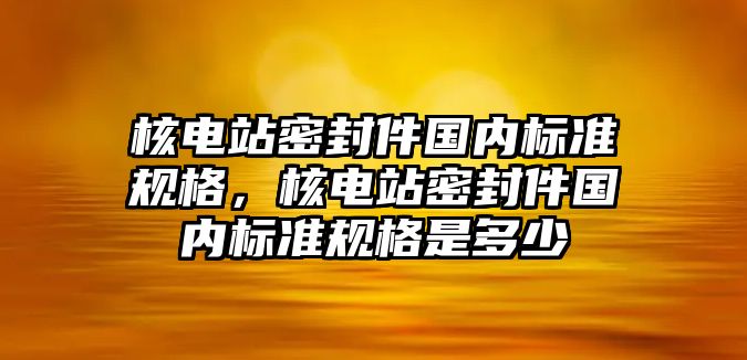 核電站密封件國(guó)內(nèi)標(biāo)準(zhǔn)規(guī)格，核電站密封件國(guó)內(nèi)標(biāo)準(zhǔn)規(guī)格是多少