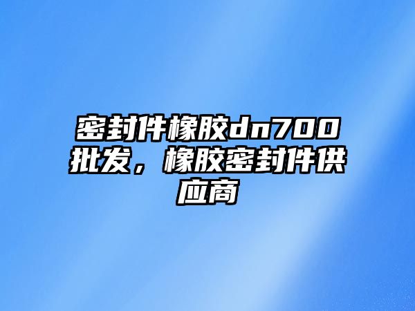 密封件橡膠dn700批發(fā)，橡膠密封件供應(yīng)商