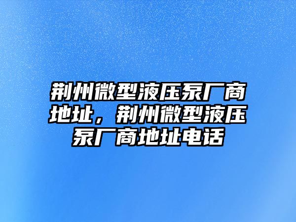 荊州微型液壓泵廠商地址，荊州微型液壓泵廠商地址電話