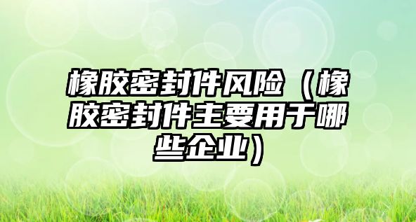 橡膠密封件風險（橡膠密封件主要用于哪些企業(yè)）