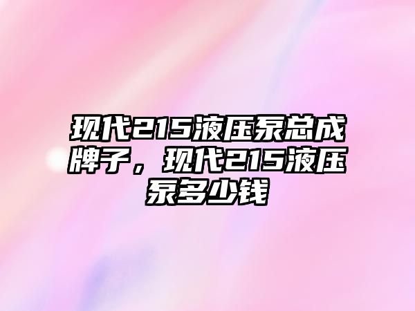 現(xiàn)代215液壓泵總成牌子，現(xiàn)代215液壓泵多少錢