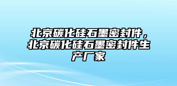 北京碳化硅石墨密封件，北京碳化硅石墨密封件生產(chǎn)廠家